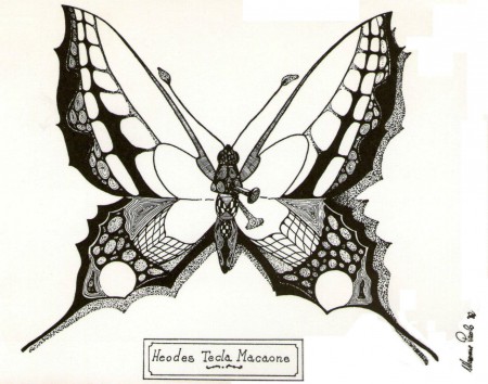 Heodes Tecla Macaone - China - 1982 (Collezione Privata) 